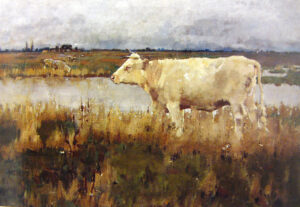 A Lincolnshire pasture