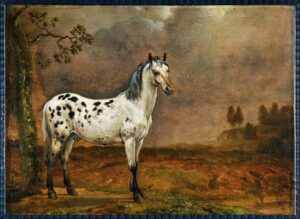 The spotted horse